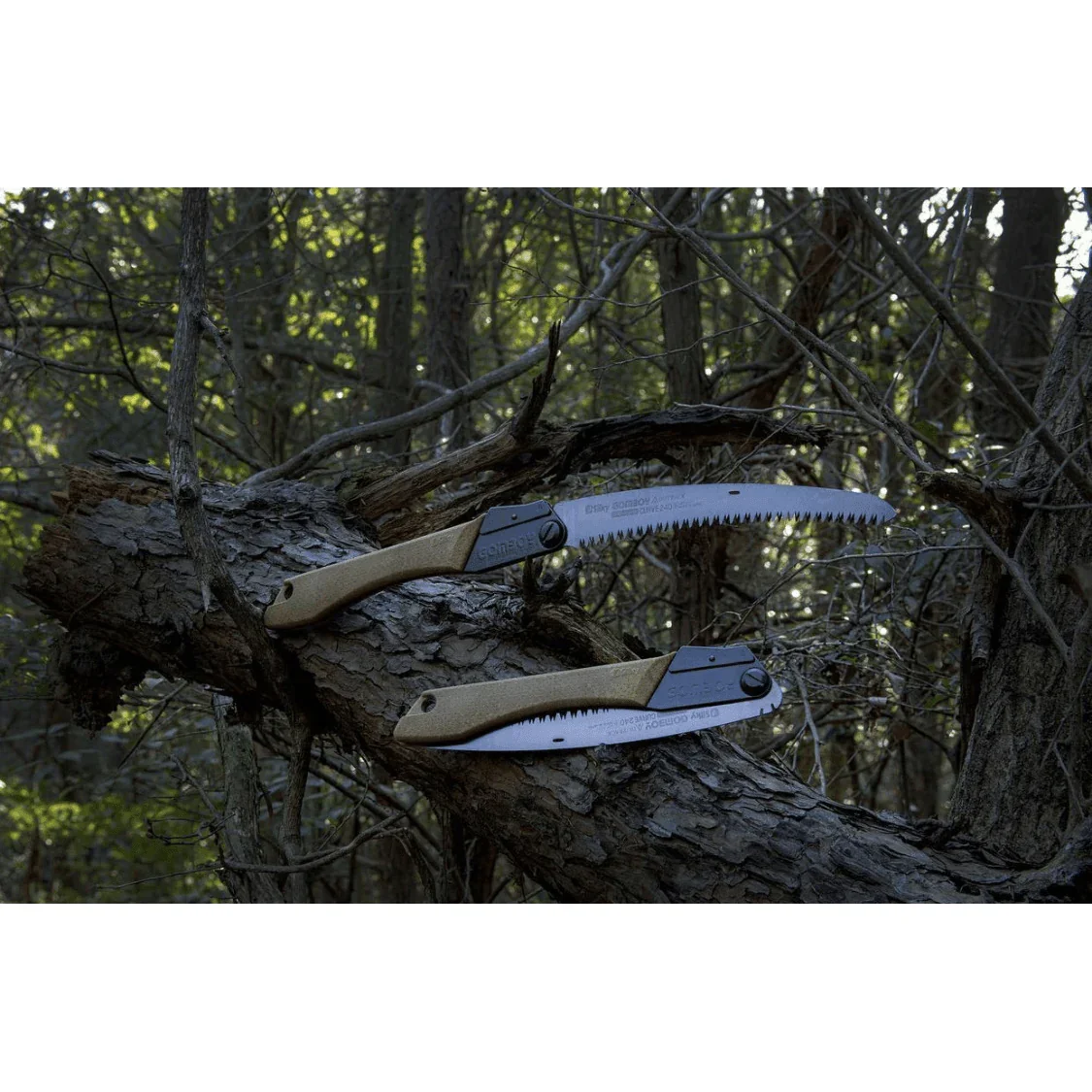 Silky GOMBOY CURVE OUTBACK Edition - Image 8